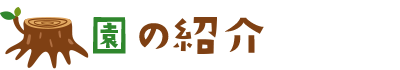 ̏Љ